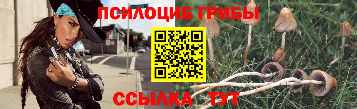 Всеволожск  купить наркотики сайты  Вход с VPN  Галлюциногенные грибы GOLDEN TEACHER  Псилоцибиновые грибы ЛСД 