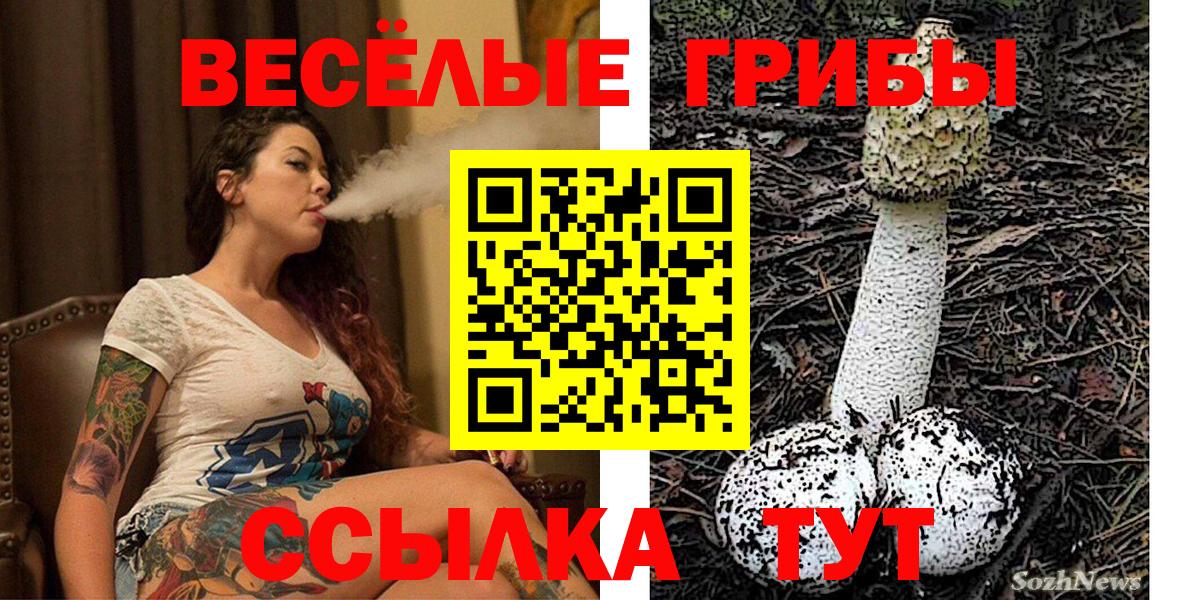Галлюциногенные грибы Psilocybe Всеволожск